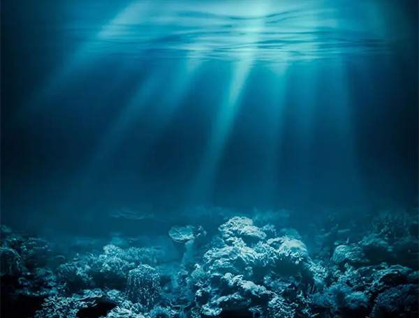 海洋水質(zhì) 海洋水質(zhì)