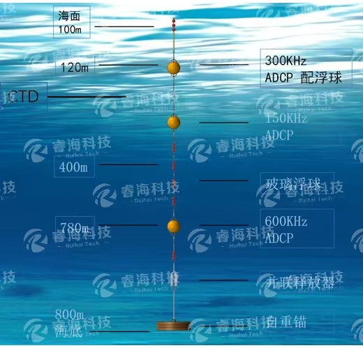 微信圖片_20250225170430